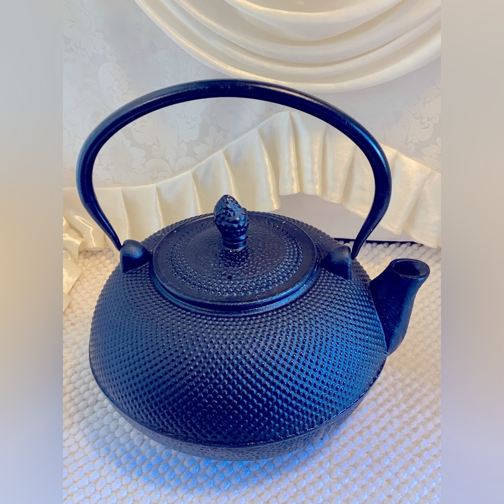 IKENAGA NAMBU IRON KETTLE
